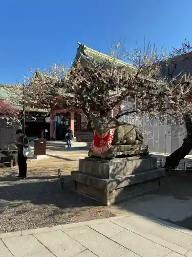 北野天満宮の{uncategorized: "未分類", other: "その他", undefined: "問題あり", building: "その他建物", grave: "お墓", sacred_gate: "鳥居", guardian: "狛犬", statue: "像", buddha: "仏像", history: "歴史", nature: "自然", garden: "庭園", animal: "動物", pagoda: "塔", temizu: "手水舎", mountain_gate: "山門・神門", sanctuary: "本殿・本堂", subordinate: "末社・摂社", art: "芸術", scenery: "景色", jizo: "地蔵", ema: "絵馬", goshuin: "御朱印", omikuji: "おみくじ", items: "授与品その他", amulet: "お守り", goshuincho: "御朱印帳", eats: "食事", festival: "お祭り", votive_dance: "神楽", shichigosan: "七五三参", wedding: "結婚式", experience: "体験その他", initially: "初詣", around: "周辺", anti_infection: "感染症対策"}