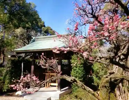 布多天神社(東京都)