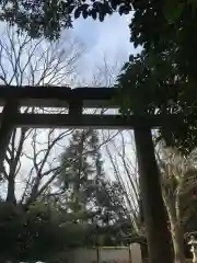 根雨神社の鳥居