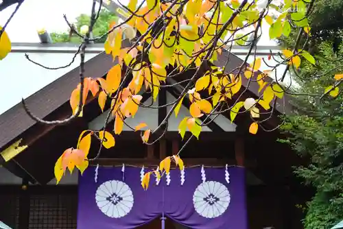 東京大神宮(東京都)