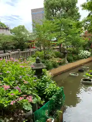 生田神社(兵庫県)