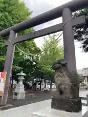 札幌村神社の鳥居