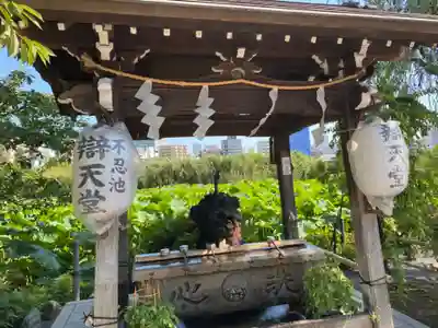 寛永寺不忍池弁天堂(東京都)