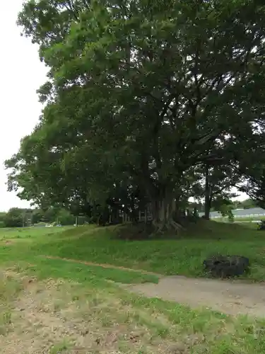神明神社(千葉県)