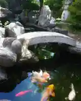 尾張猿田彦神社の動物