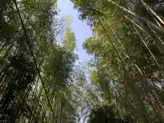 野宮神社の自然