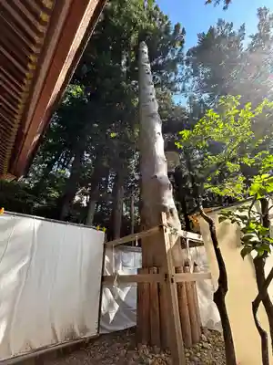 諏訪大社下社春宮(長野県)