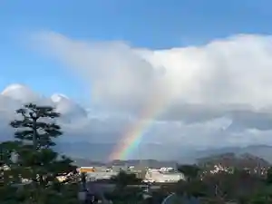 京都祇園堂(廃寺?)の自然(2019年12月20日(金) 23時48分48秒投稿)
