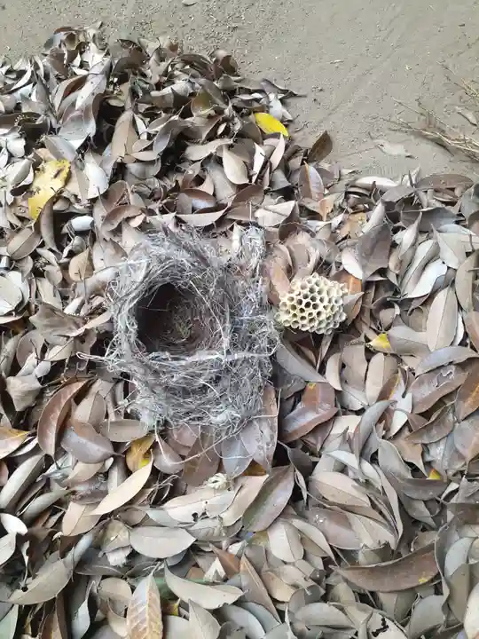 伏木香取神社(茨城県)