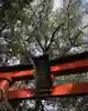 深志神社(長野県)