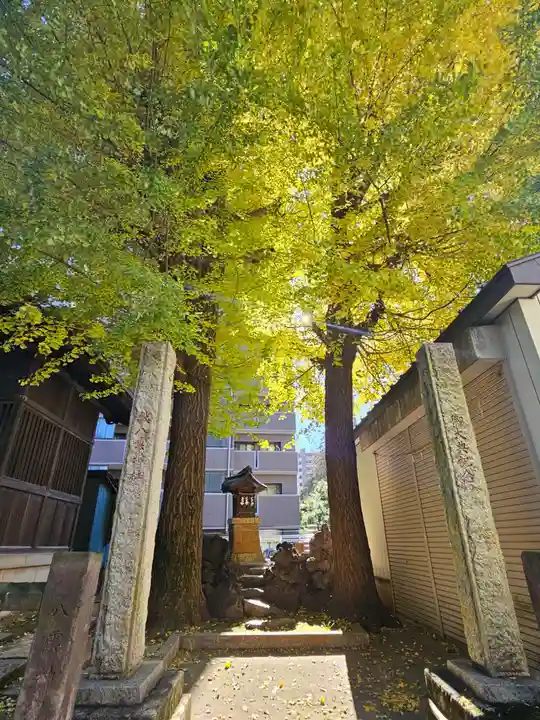慈恵稲荷神社(埼玉県)