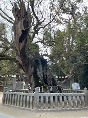 大山祇神社(愛媛県)