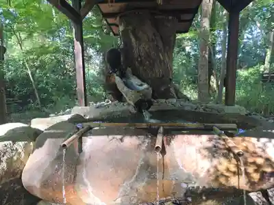 賀茂御祖神社（下鴨神社）(京都府)