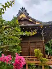 城南神社の本殿