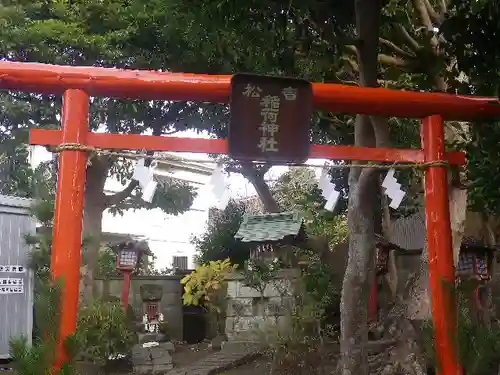 音松稲荷大明神の鳥居