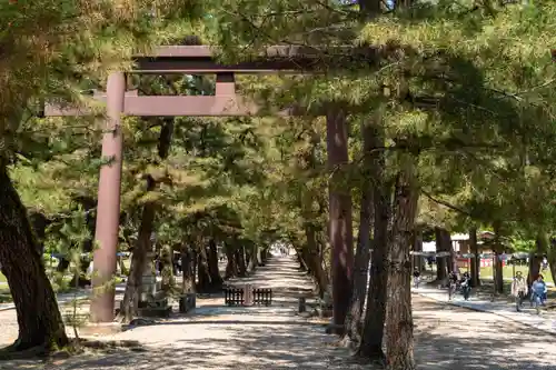 出雲大社(島根県)