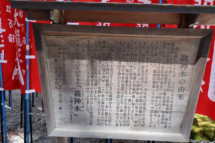 秩父今宮神社(埼玉県)