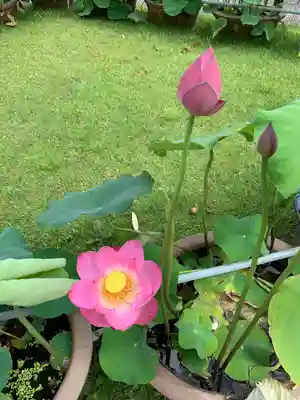 三室戸寺(京都府)