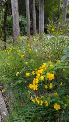 椎尾神社(大阪府)