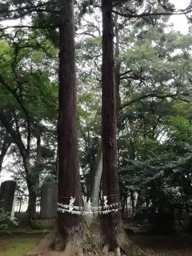 東蕗田天満社の自然