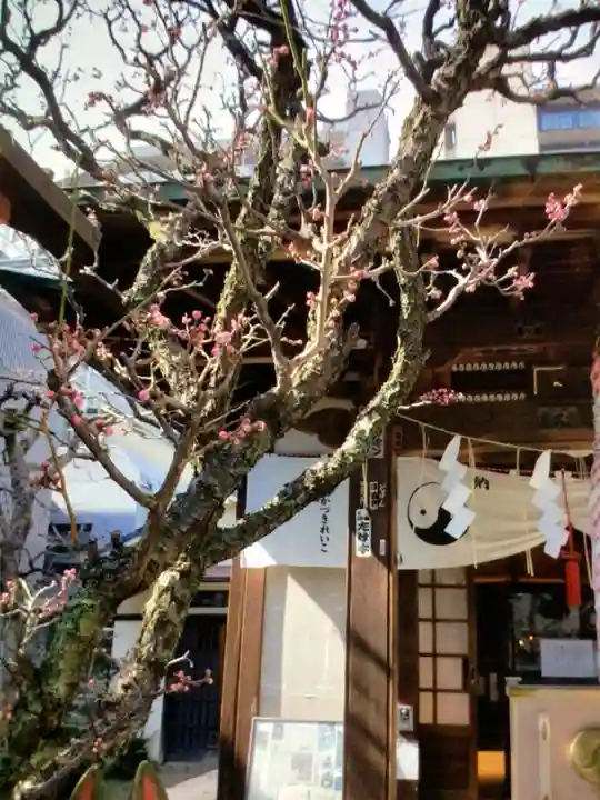四谷於岩稲荷田宮神社(東京都)