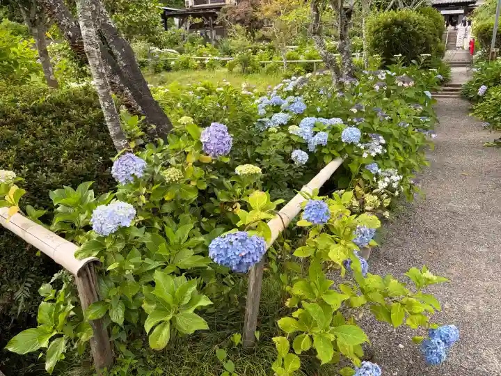 極楽寺(静岡県)
