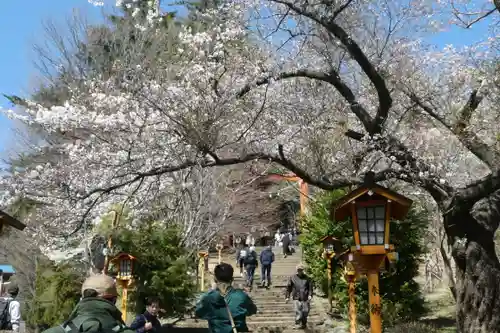 新倉富士浅間神社(山梨県)