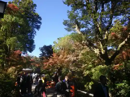 鶴岡八幡宮の自然