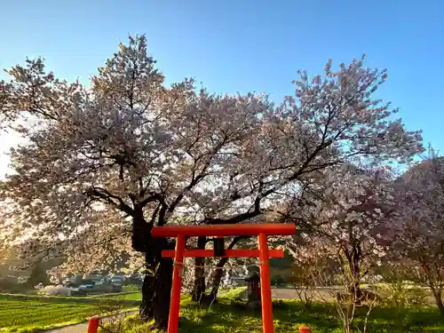 天神宮(伝河原氏屋敷跡)の鳥居