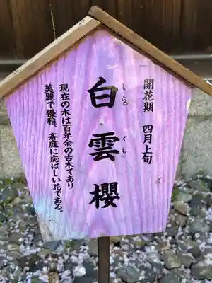 平野神社(京都府)