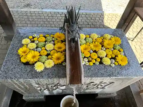 川越八幡宮(埼玉県)