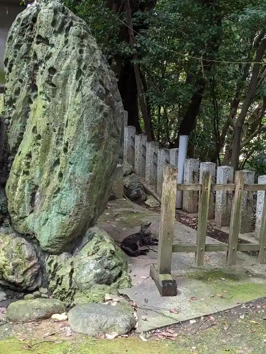 白山神社(二子町)の動物