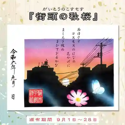 『街頭の秋桜』