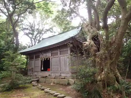 大湊神社（雄島）の本殿・本堂