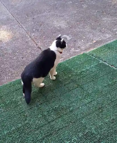 榛名神社(群馬県)