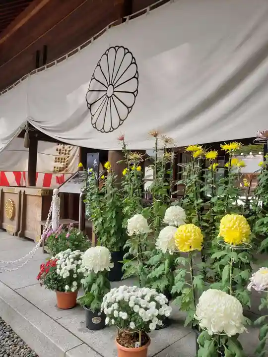 阿佐ヶ谷神明宮(東京都)