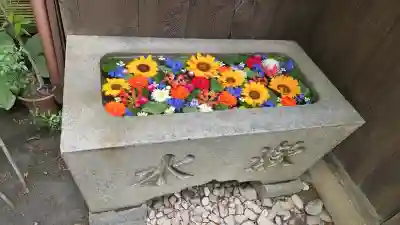 菅生神社の{uncategorized: "未分類", other: "その他", undefined: "問題あり", building: "その他建物", grave: "お墓", sacred_gate: "鳥居", guardian: "狛犬", statue: "像", buddha: "仏像", history: "歴史", nature: "自然", garden: "庭園", animal: "動物", pagoda: "塔", temizu: "手水舎", mountain_gate: "山門・神門", sanctuary: "本殿・本堂", subordinate: "末社・摂社", art: "芸術", scenery: "景色", jizo: "地蔵", ema: "絵馬", goshuin: "御朱印", omikuji: "おみくじ", items: "授与品その他", amulet: "お守り", goshuincho: "御朱印帳", eats: "食事", festival: "お祭り", votive_dance: "神楽", shichigosan: "七五三参", wedding: "結婚式", experience: "体験その他", initially: "初詣", around: "周辺", anti_infection: "感染症対策"}