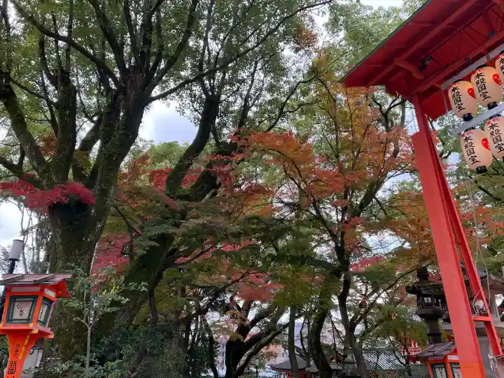 八坂神社(祇園さん)(京都府)