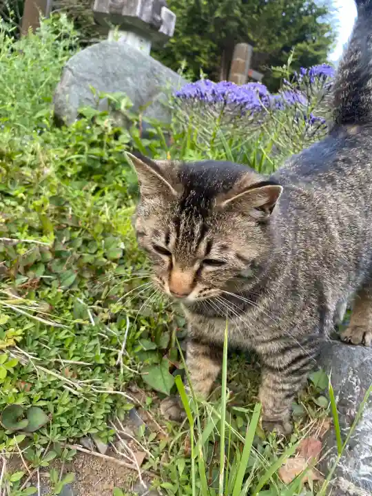 鳳仙寺の{uncategorized: "未分類", other: "その他", undefined: "問題あり", building: "その他建物", grave: "お墓", sacred_gate: "鳥居", guardian: "狛犬", statue: "像", buddha: "仏像", history: "歴史", nature: "自然", garden: "庭園", animal: "動物", pagoda: "塔", temizu: "手水舎", mountain_gate: "山門・神門", sanctuary: "本殿・本堂", subordinate: "末社・摂社", art: "芸術", scenery: "景色", jizo: "地蔵", ema: "絵馬", goshuin: "御朱印", omikuji: "おみくじ", items: "授与品その他", amulet: "お守り", goshuincho: "御朱印帳", eats: "食事", festival: "お祭り", votive_dance: "神楽", shichigosan: "七五三参", wedding: "結婚式", experience: "体験その他", initially: "初詣", around: "周辺", anti_infection: "感染症対策"}