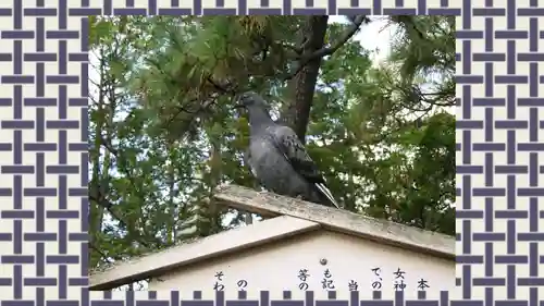 西新井大師総持寺(東京都)