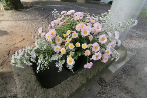 熊野福藏神社の手水舎