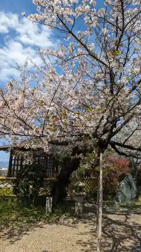 橋寺 放生院(京都府)