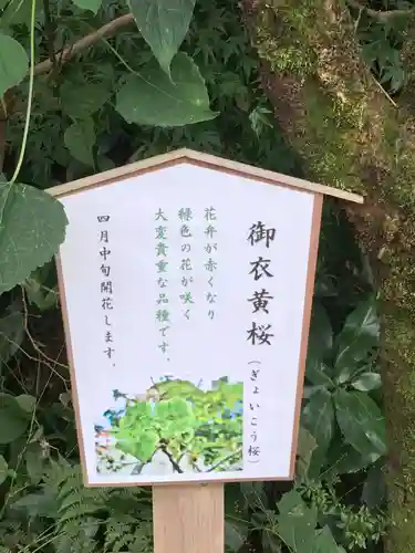 白笹稲荷神社の歴史