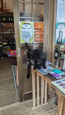 王子神社(徳島県)