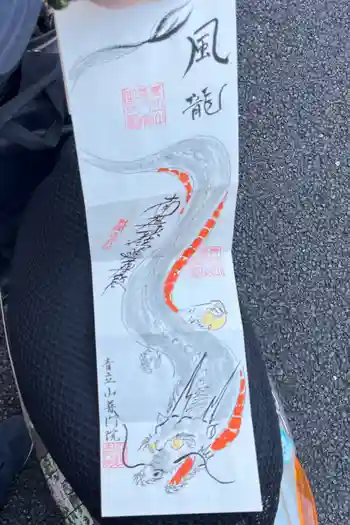 普門院の御朱印 2024年05月