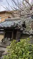 香雪院(京都府)