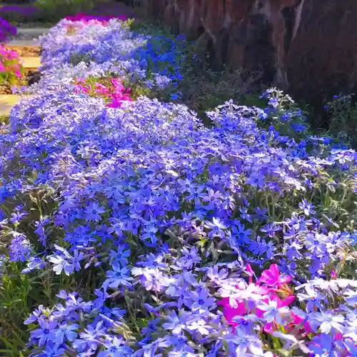 寿量山　速成寺(奈良県)
