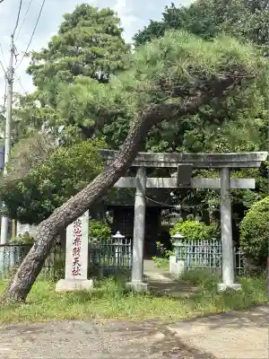 渋池弁財天社(東京都)