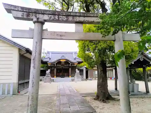 八幡神社（椋岡八幡神社）の鳥居