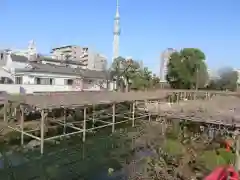 亀戸天神社の庭園